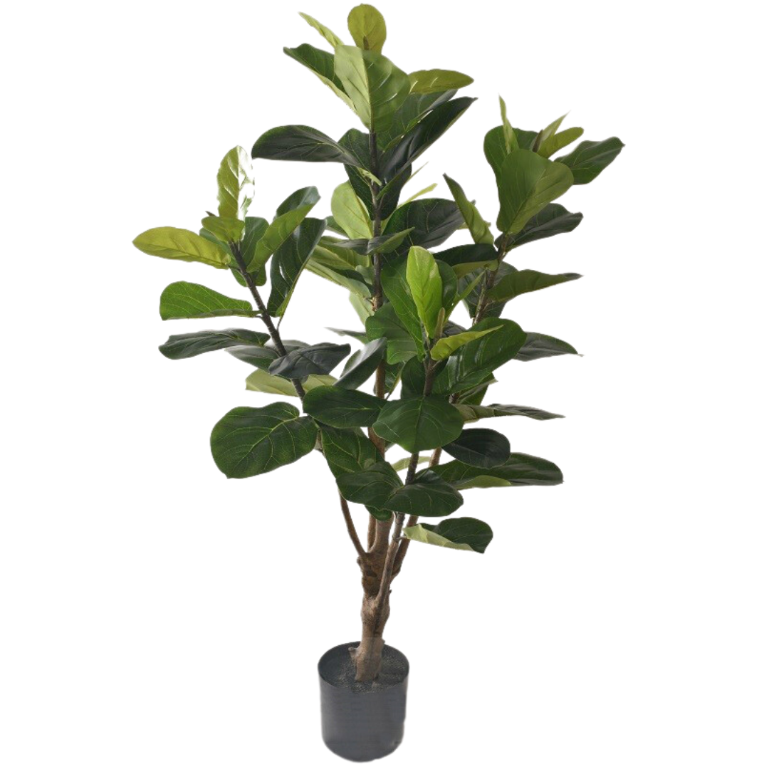 Dirbtinis stambialapis fikusas 011