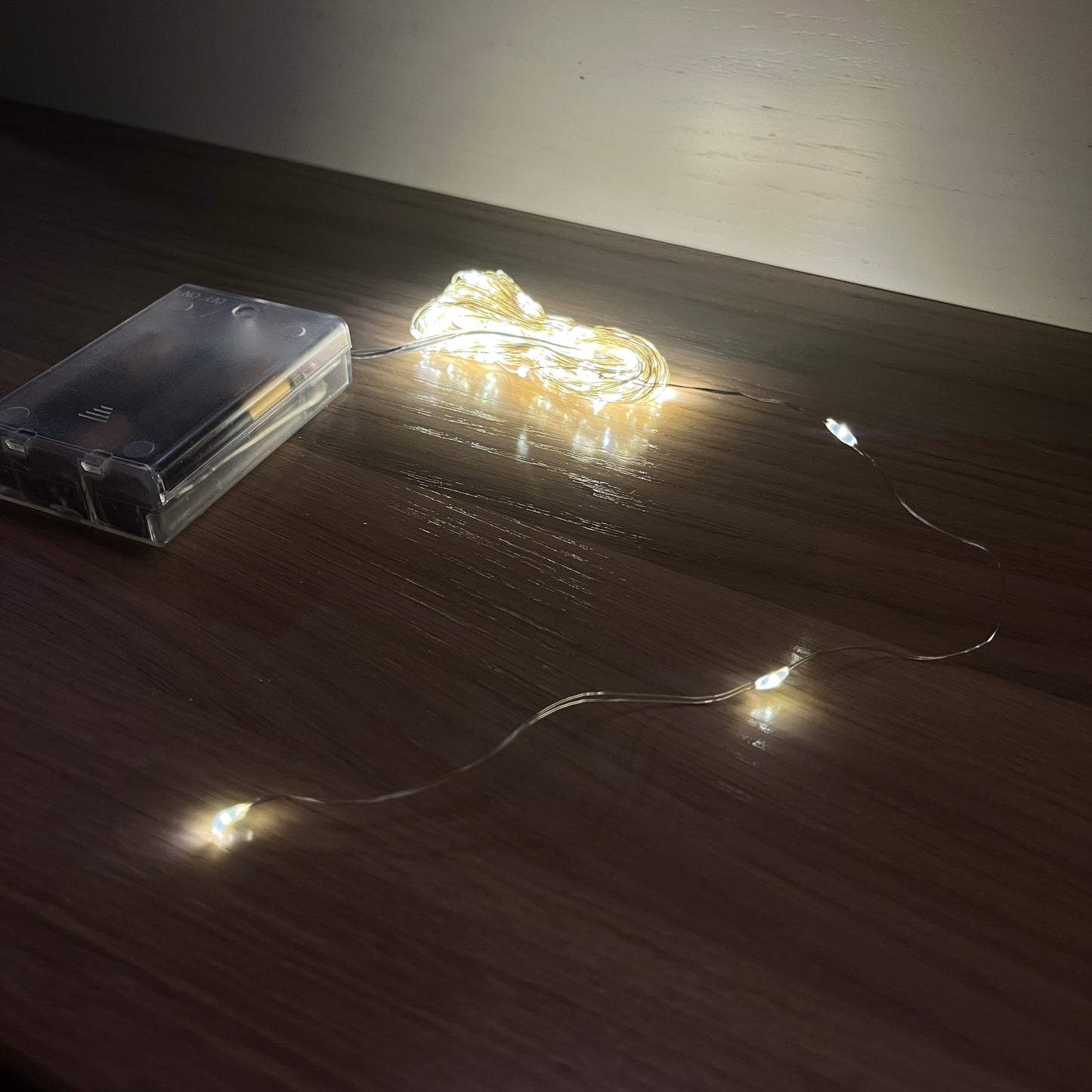 LED lemputės ant vielos