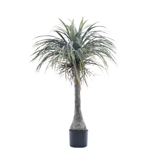 Dirbtinė palmė YD267