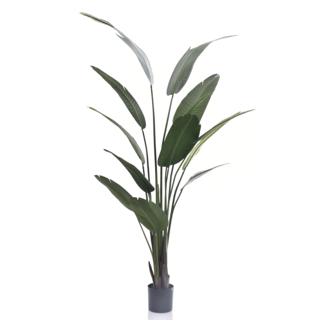 Dirbtinis bananmedis YD280