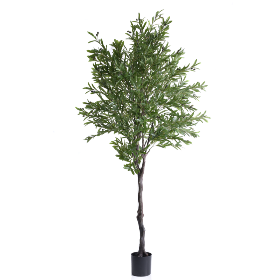 Dirbtinis alyvmedis 020