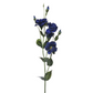 Eustoma SUN345