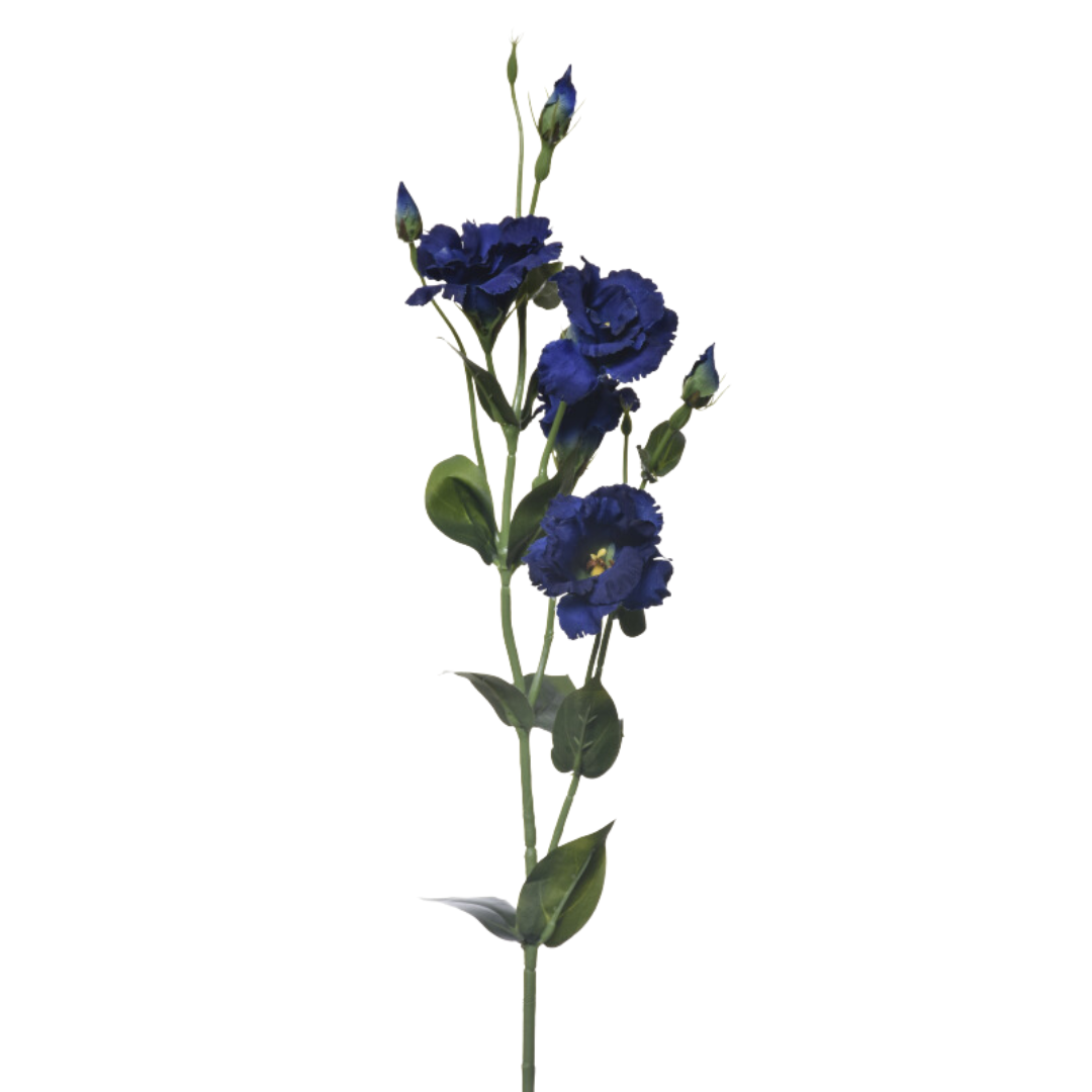 Eustoma SUN345