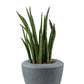 ECOLITE vazonas 88024