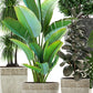ECOLITE vazonas 88028
