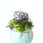 PASTEL vazonas 02585