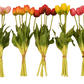 dirbtines tulpes